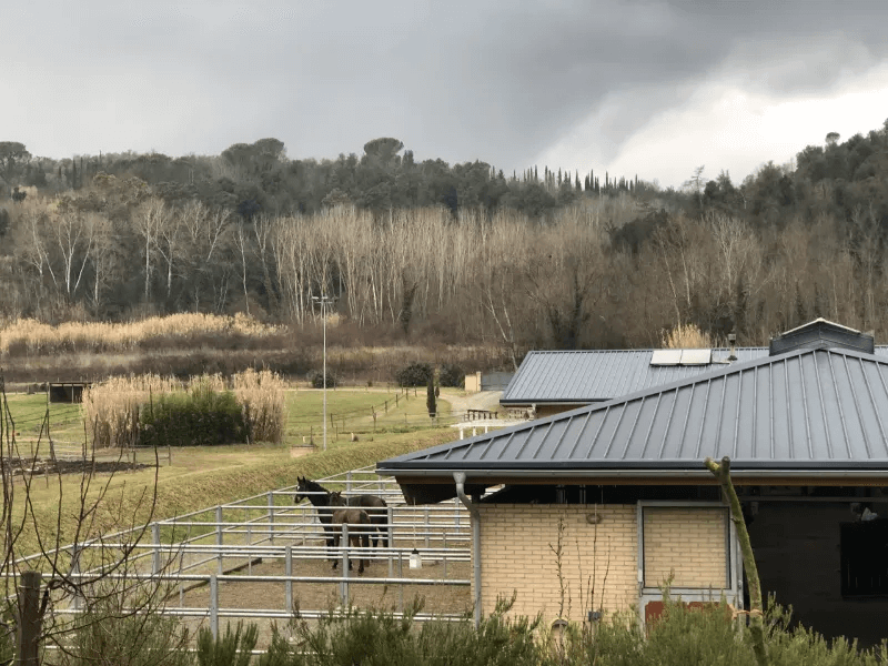 Two horses standing outside of a stable