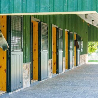 Horse stalls featuring Dutch doors with protective mesh grills and natural wood finish on a green barn exterior.