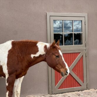 Brown horse stands by a gray and red Dutch door. Features include divided window panes and a classic X-brace design.