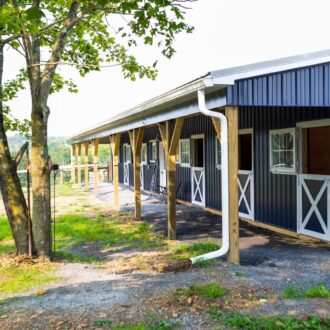 Exterior stables with blue siding, featuring white Dutch doors and awning windows, under a shaded tree area.
