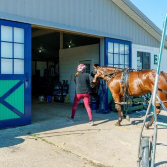 Blue and green sliding barn doors opening into horse stall area, featuring protective grate, vibrant colors.