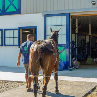 A man guiding a horse into a stable