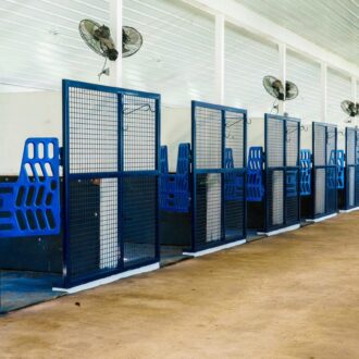 Modern barn interior with blue mesh horse stalls featuring protective grills. Durable design, ideal for efficient horse care.