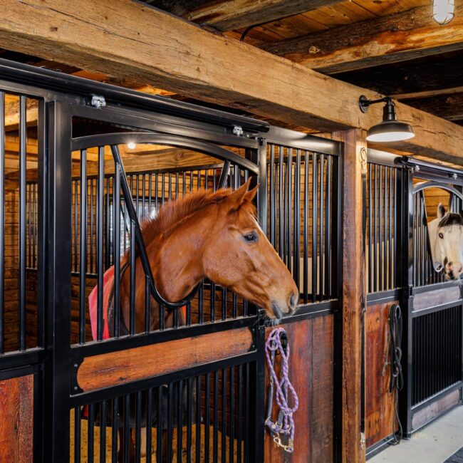 Horse stall with black protective grills and wooden finish, featuring sliding barn doors and premium hardware.