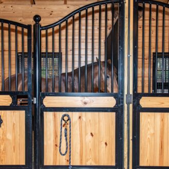 A horse inside of a stall