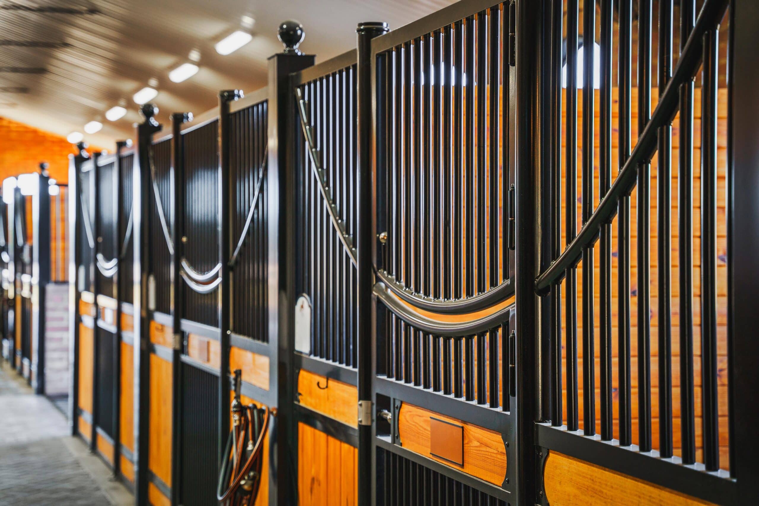 High-quality barn interior with black protective stall grills and wood finish, showcasing custom design features.