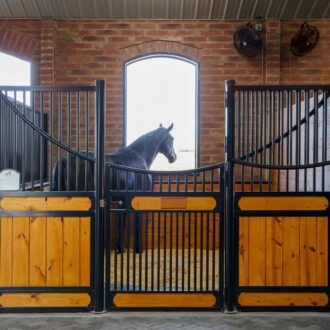 Horse inside stable with black and wood protective stall grills, featuring arched design against brick wall backdrop.