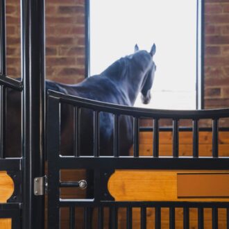 Stall with protective grill, showcasing a horse, brick walls, and wooden details.