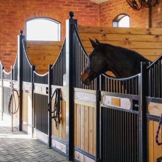 A horse looking out hinged horse stalls