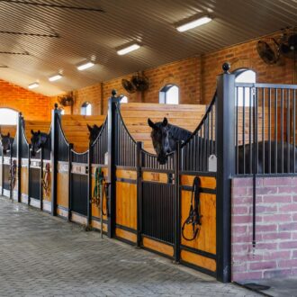 Horses inside euro stalls