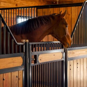 A horse looking out a European stall front