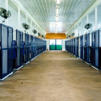 Horse stable interior with protective stall grills and blue mesh, sliding barn doors at end, fans on ceiling.
