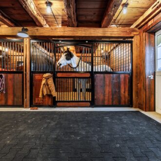 A horse looking out its stall
