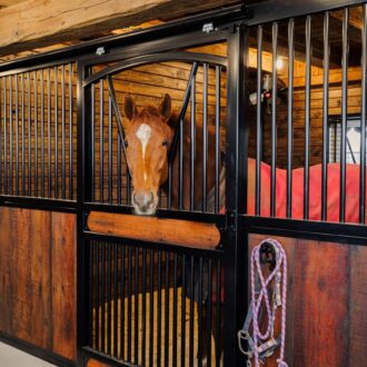 A horse looking out a sliding stall front