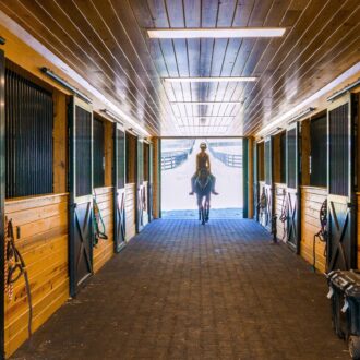 Horse barn aisle with sliding barn doors featuring protective stall grills; warm wood finish and natural lighting.