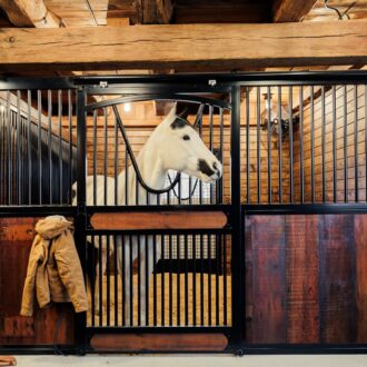 Rustic horse stall with protective grill, wooden panels, and a brown jacket hanging. Barn features natural wood finish.