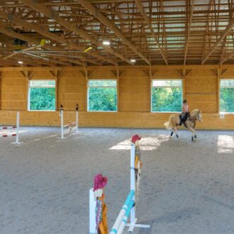 Spacious equestrian arena interior with natural light through numerous arena windows, showcasing finished wood beams.