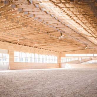 Spacious equestrian arena interior with natural light through numerous arena windows, showcasing finished wood beams.