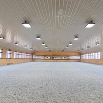 Indoor equestrian arena with large arena windows, wood finishes, and optimal lighting. 