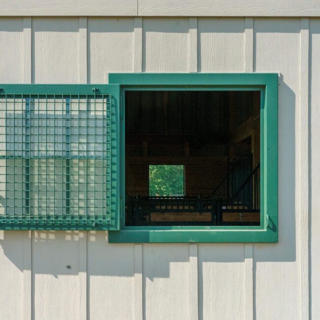 Dutch window with green protective mesh on white wall, showcasing versatile barn ventilation options.