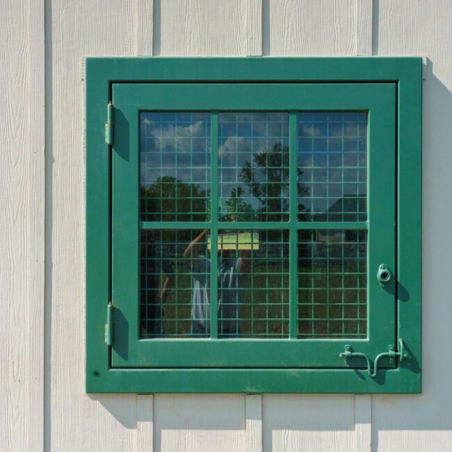 Green Dutch window frame with protective mesh on a white wall, reflecting trees and sky. Suitable for barn use.