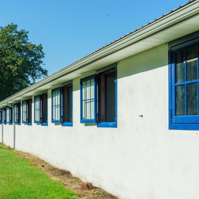 Row of blue Dutch windows on a white barn, featuring open prop-out design for ventilation, surrounded by greenery.