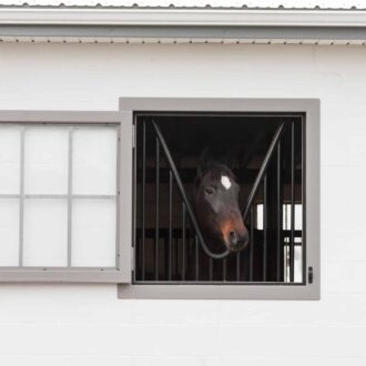 Horse peeks through a protective stall grill in a Dutch window with gray finish, showcasing barn door style.
