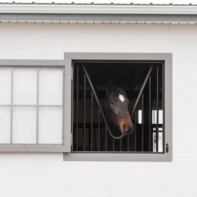 Horse peeks through a protective stall grill in a Dutch window with gray finish, showcasing barn door style.