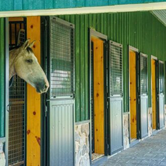 Horse stable with green entry doors featuring protective mesh grills and wooden panels.