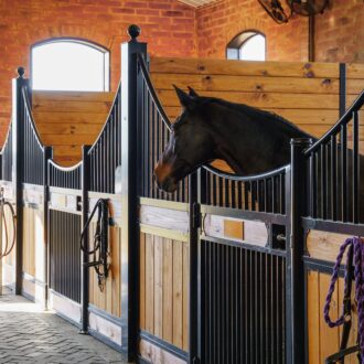 A brown horse peering over its custom stall font and doors.