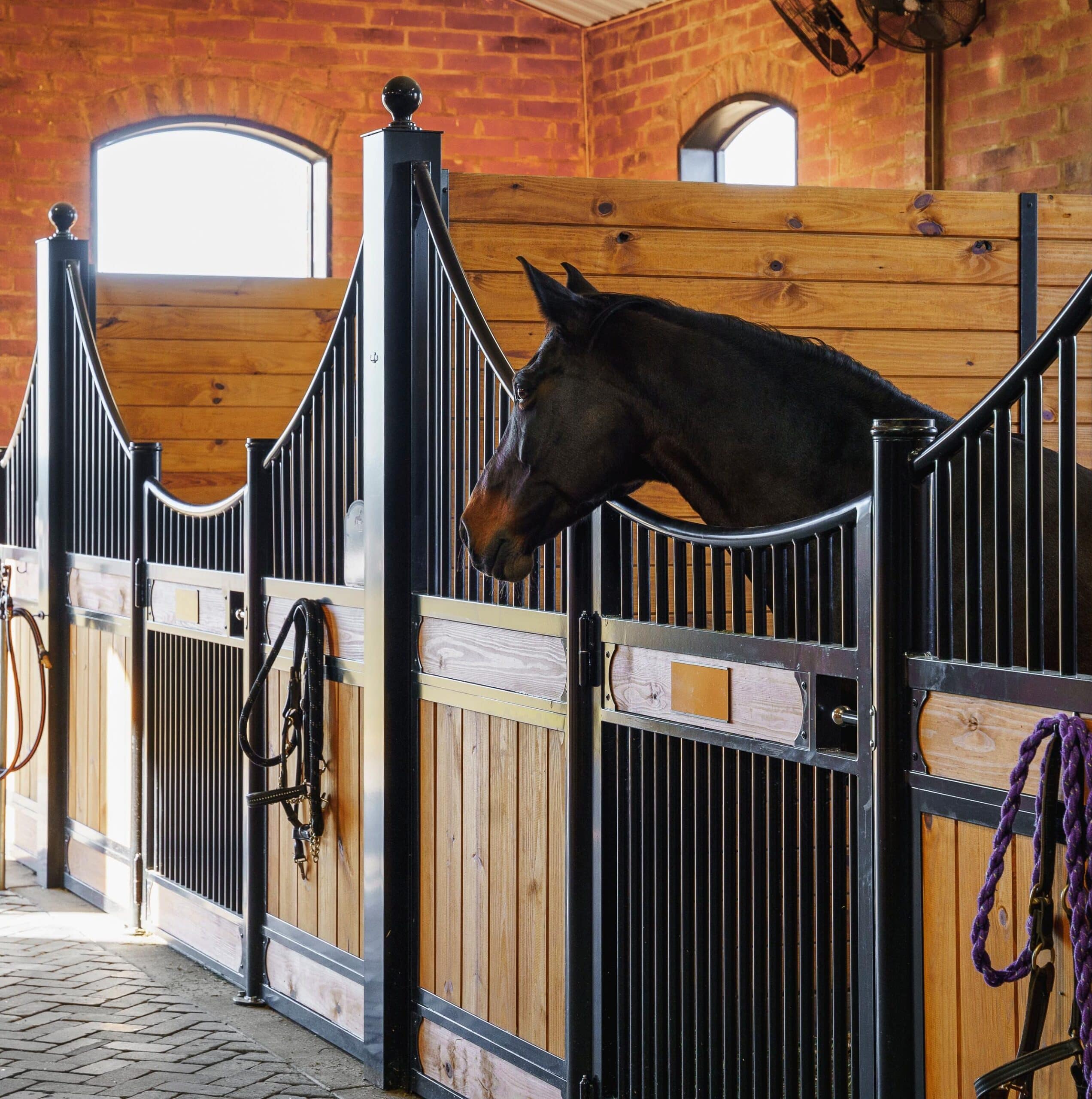 A brown horse peering over its custom stall font and doors.