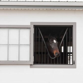 A horse barn Dutch window with a horse peering out.