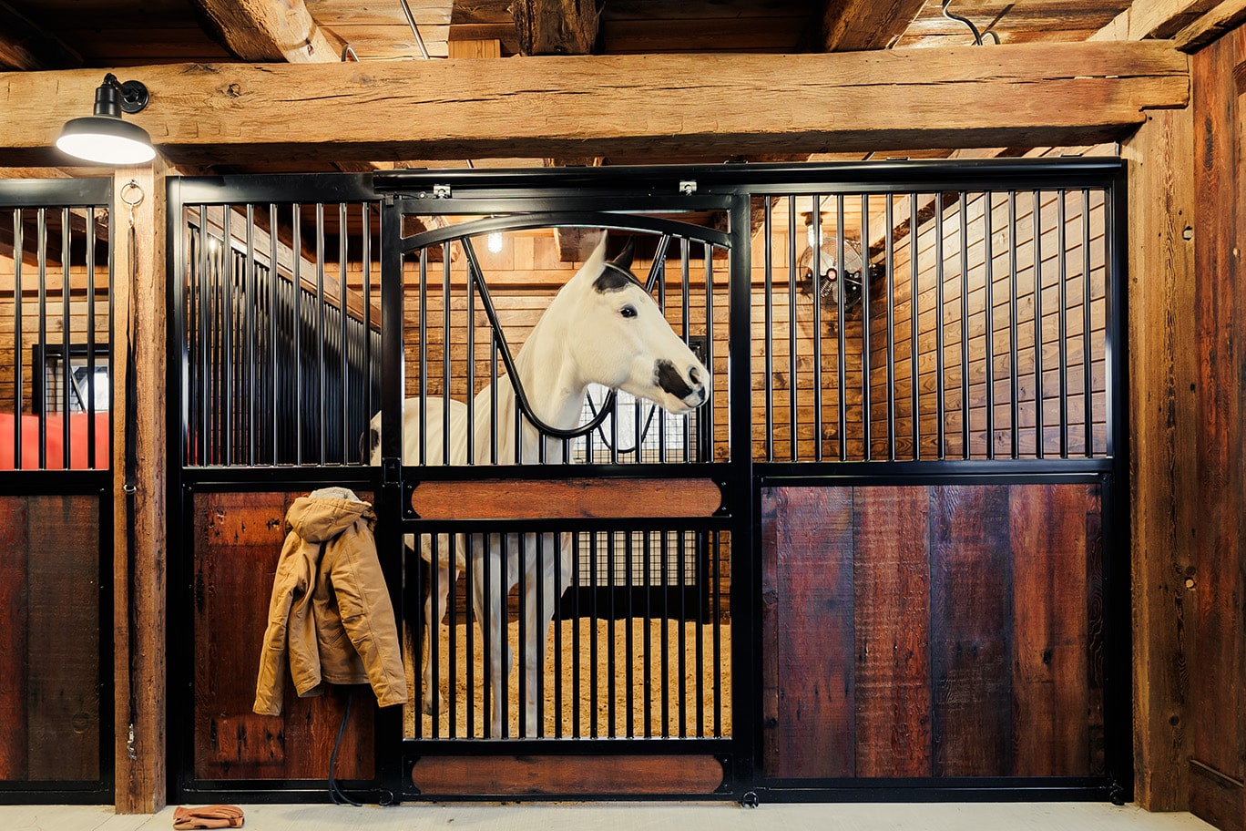 Horse looking out of stall featuring a sliding door stall front, and Dutch door access to turnout.